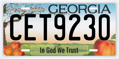 GA license plate CET9230