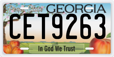 GA license plate CET9263
