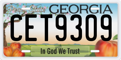 GA license plate CET9309