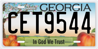 GA license plate CET9544