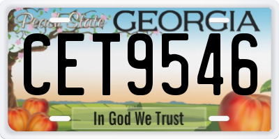 GA license plate CET9546