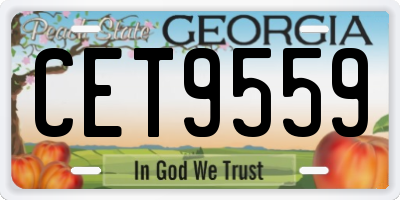 GA license plate CET9559