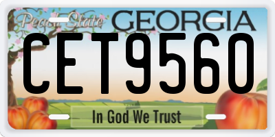 GA license plate CET9560