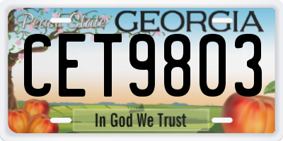 GA license plate CET9803