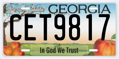 GA license plate CET9817