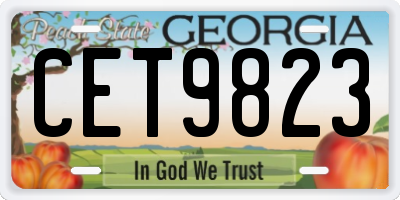 GA license plate CET9823