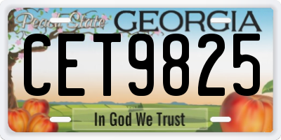 GA license plate CET9825