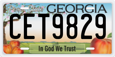 GA license plate CET9829