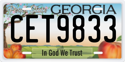 GA license plate CET9833