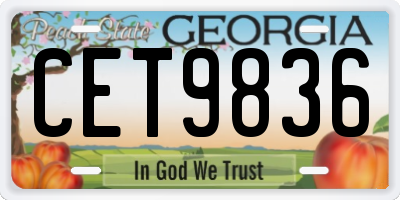 GA license plate CET9836
