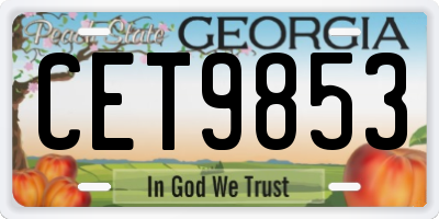 GA license plate CET9853