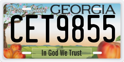 GA license plate CET9855