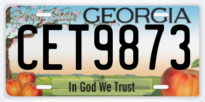 GA license plate CET9873