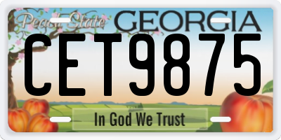 GA license plate CET9875