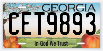 GA license plate CET9893