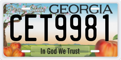 GA license plate CET9981