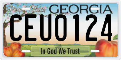 GA license plate CEU0124