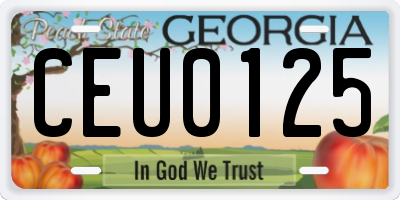 GA license plate CEU0125