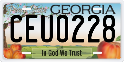 GA license plate CEU0228