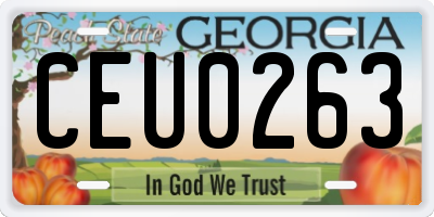 GA license plate CEU0263