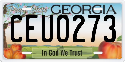 GA license plate CEU0273