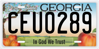 GA license plate CEU0289