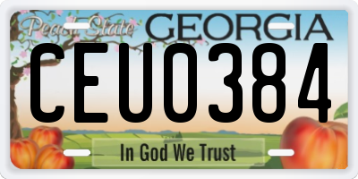 GA license plate CEU0384