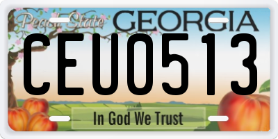 GA license plate CEU0513