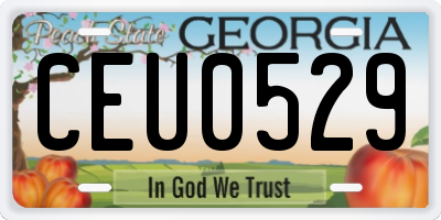 GA license plate CEU0529