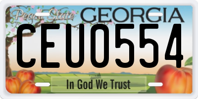 GA license plate CEU0554