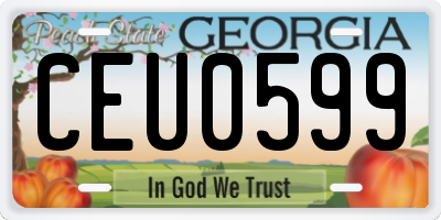 GA license plate CEU0599