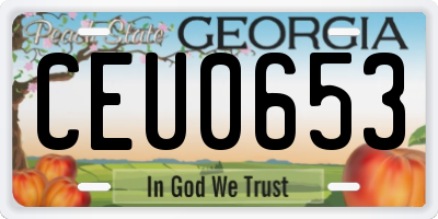 GA license plate CEU0653