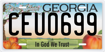 GA license plate CEU0699