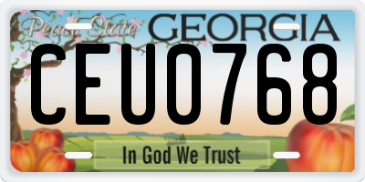 GA license plate CEU0768