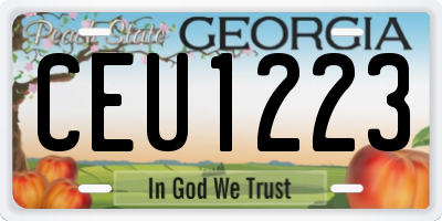 GA license plate CEU1223
