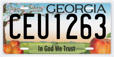GA license plate CEU1263