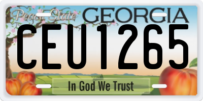 GA license plate CEU1265