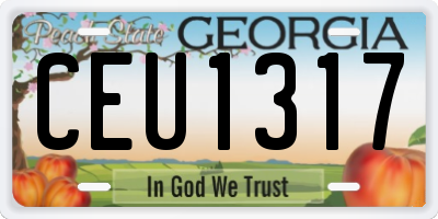 GA license plate CEU1317