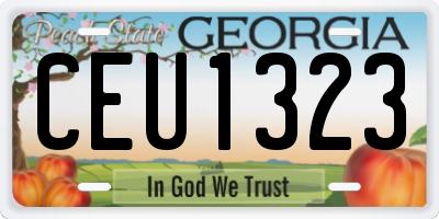 GA license plate CEU1323