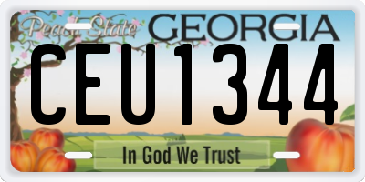 GA license plate CEU1344