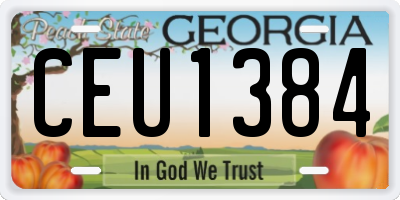GA license plate CEU1384