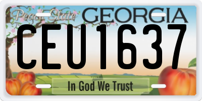 GA license plate CEU1637