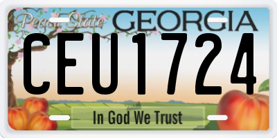 GA license plate CEU1724