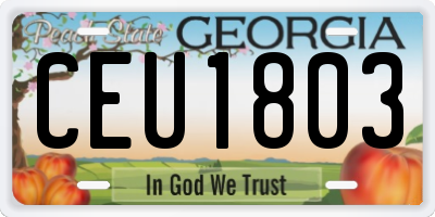 GA license plate CEU1803