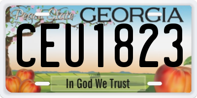 GA license plate CEU1823