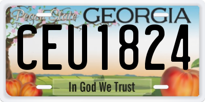 GA license plate CEU1824
