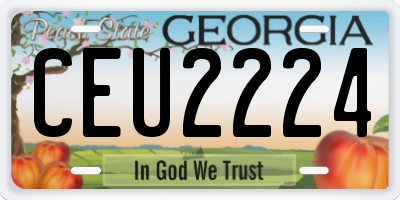 GA license plate CEU2224