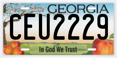 GA license plate CEU2229