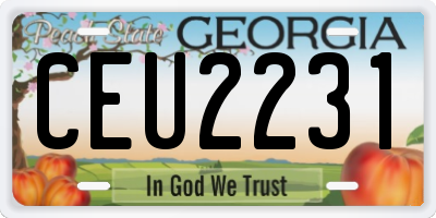 GA license plate CEU2231