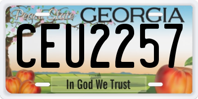 GA license plate CEU2257